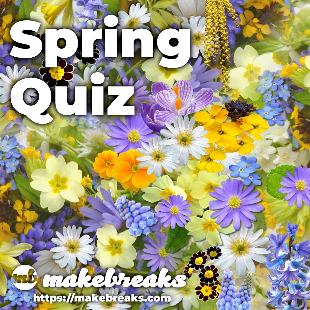 Fun Spring Quiz Make Breaks